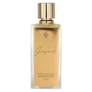 Ganymede by Marc-Antoine Barrois